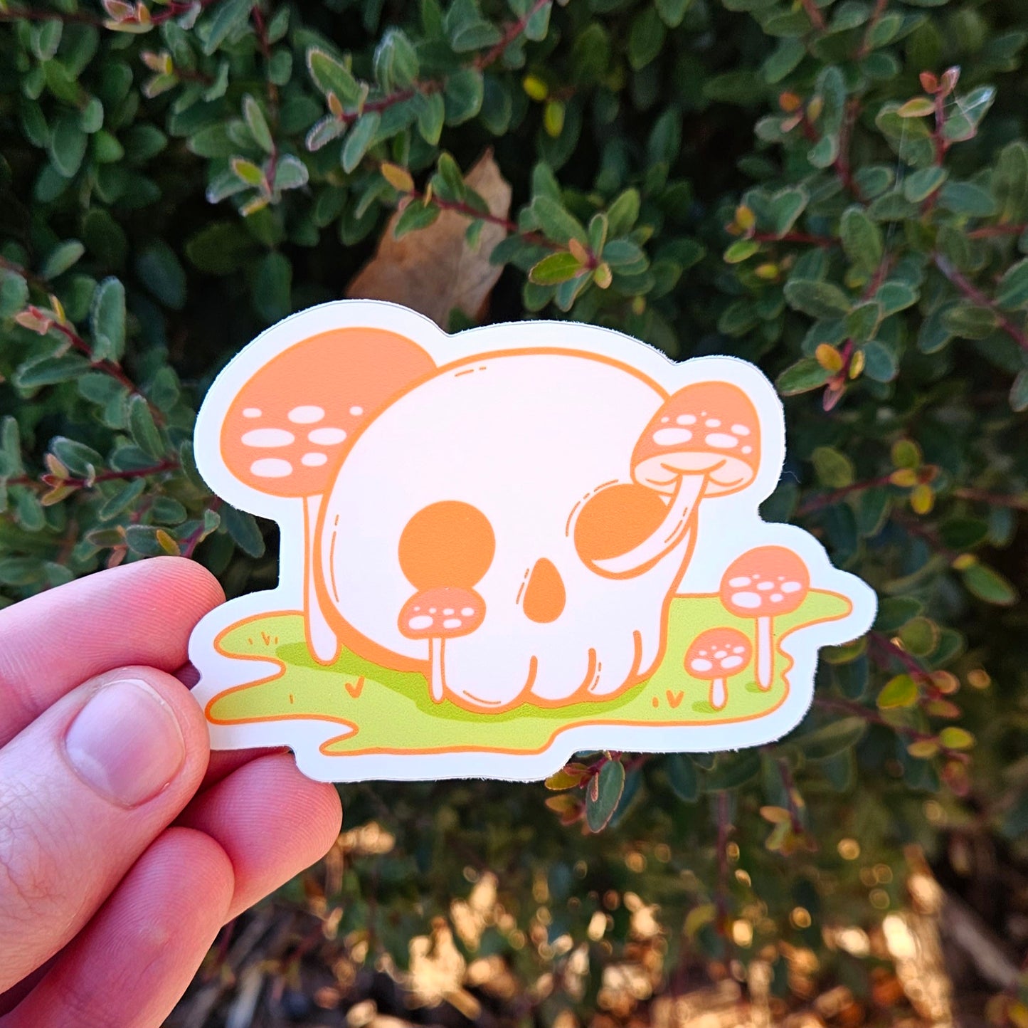 Mushroom Skull Sticker