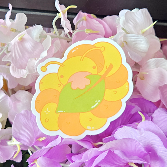 Hungry Caterpillar  - Vinyl Sticker