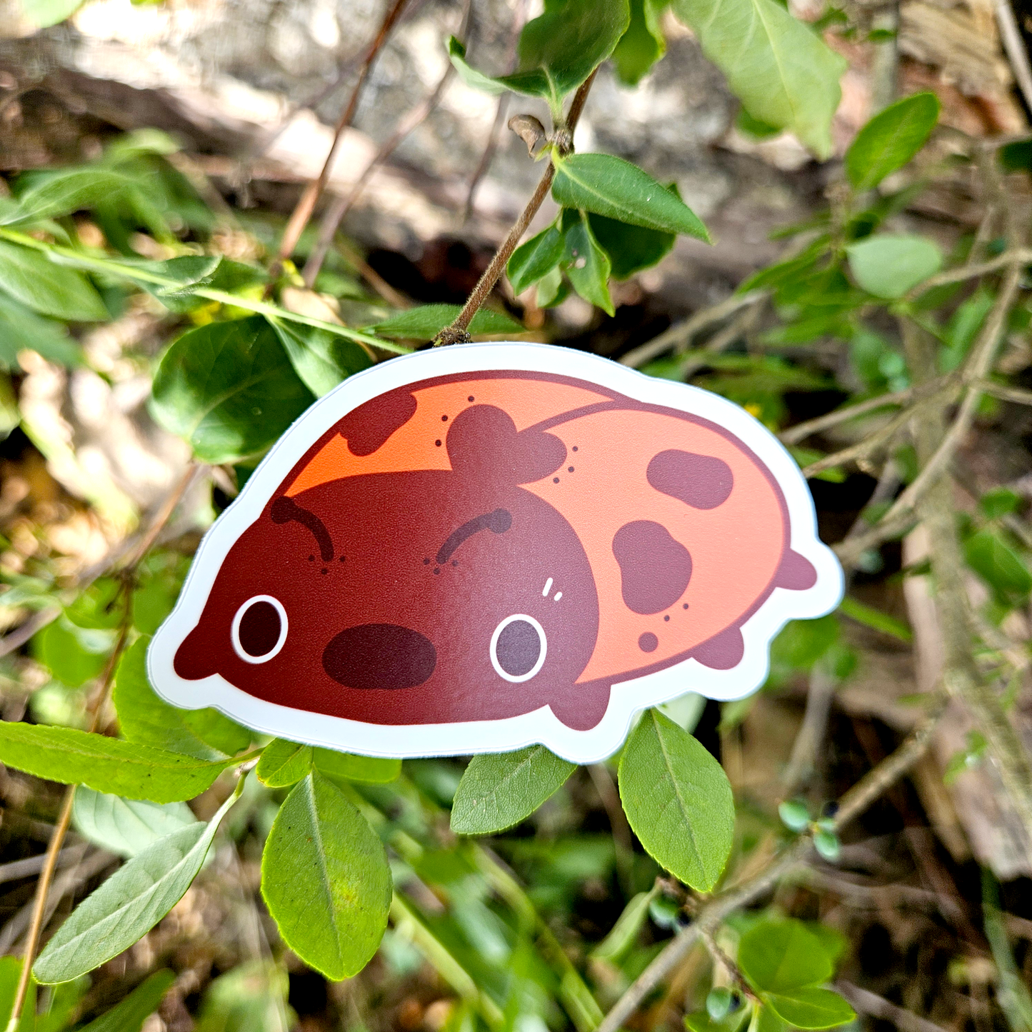 Ladybug Sticker