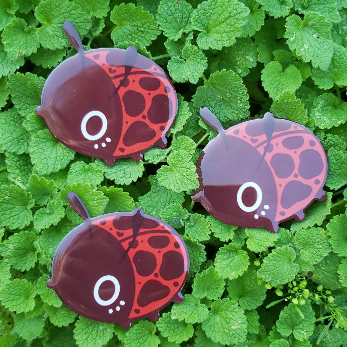 Ladybug Phone Grip