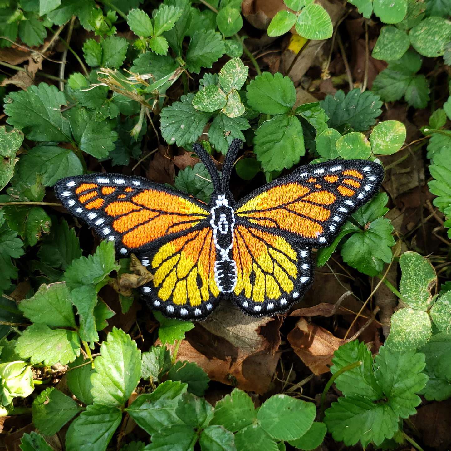 Monarch Butterfly Iron on Patch