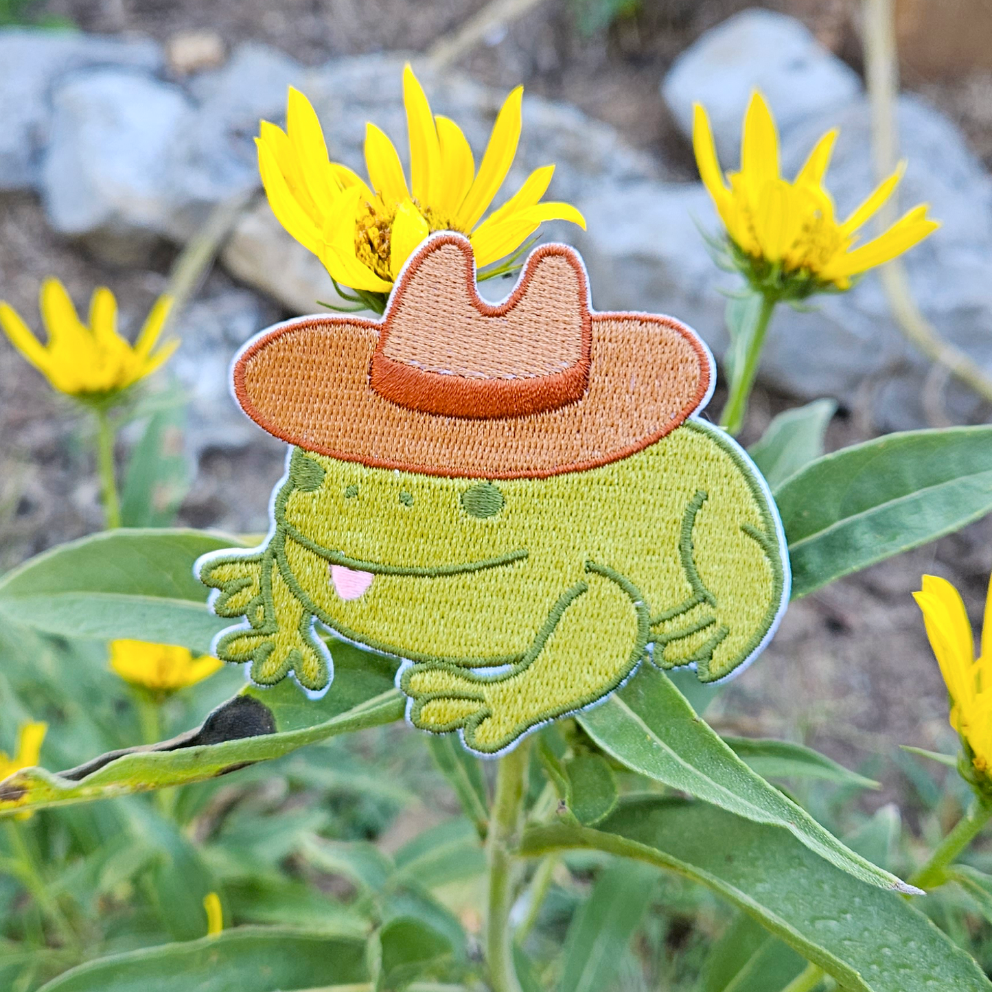 Cowboy Frog Iron on Patch