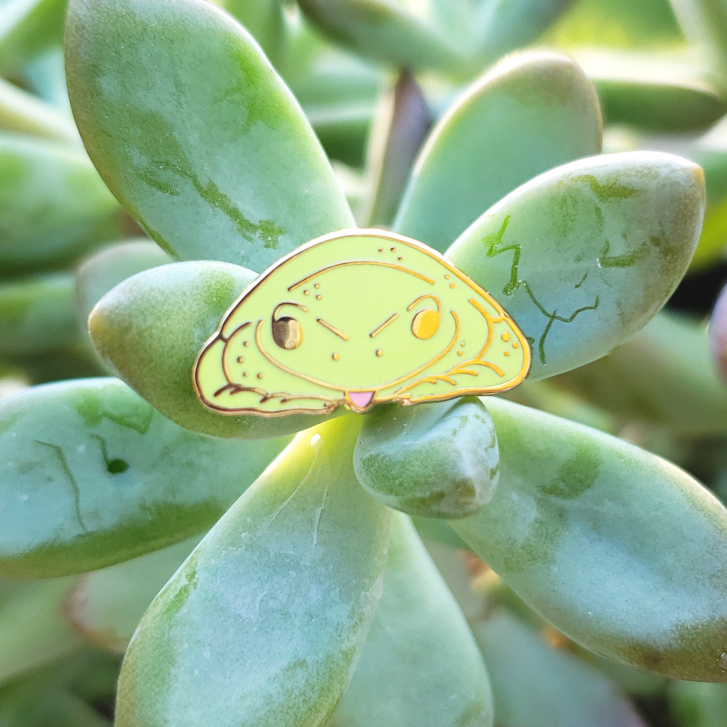 Froggie and Mushroom Mini Pin Set - Hard Enamel Pin Set